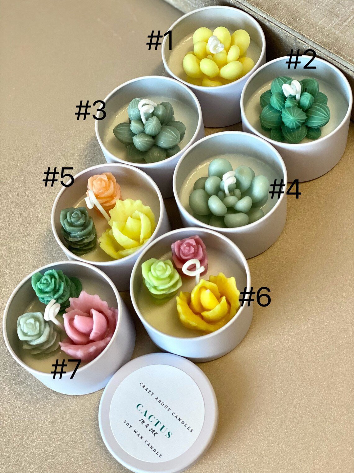 Handmade Cactus Candle | Soy Wax Scented Candle